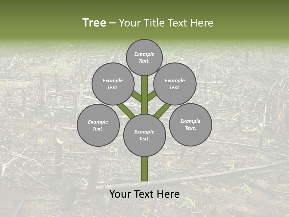 Corn Amazon Farm PowerPoint Template