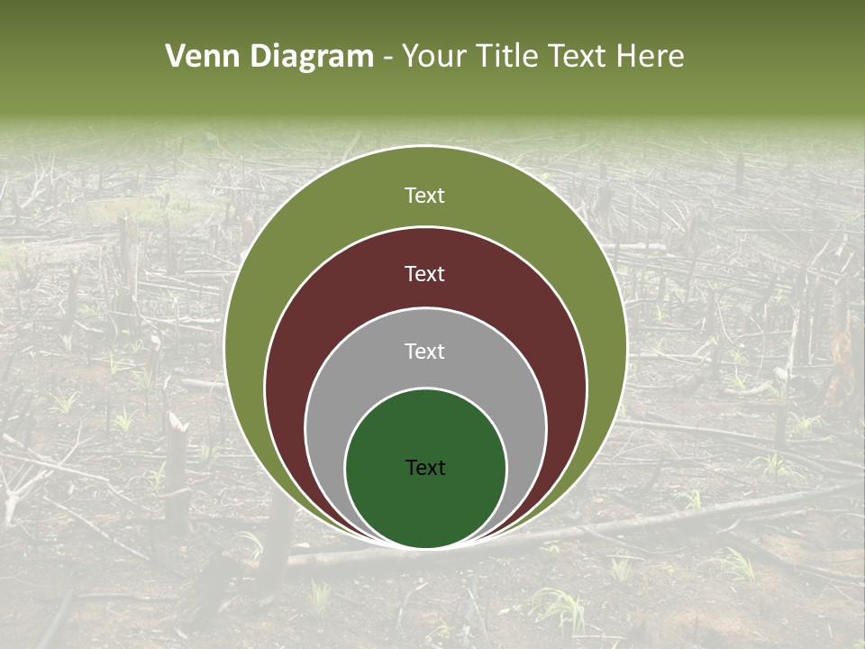 Corn Amazon Farm PowerPoint Template