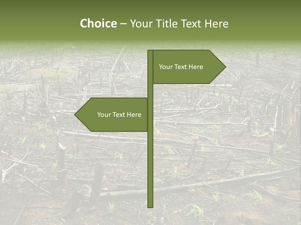 Corn Amazon Farm PowerPoint Template