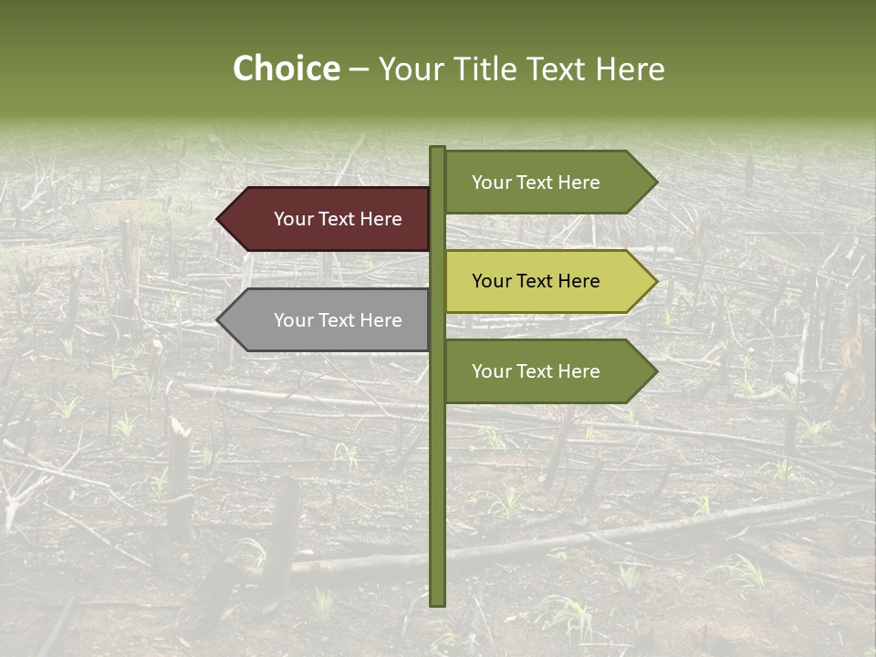 Corn Amazon Farm PowerPoint Template