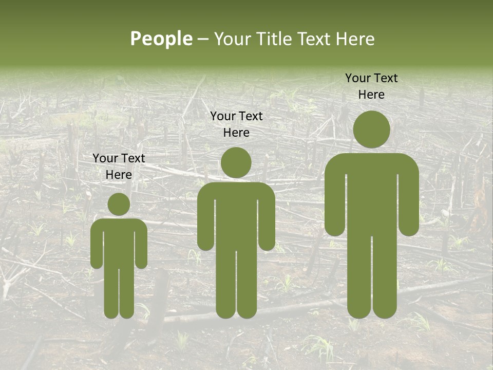 Corn Amazon Farm PowerPoint Template