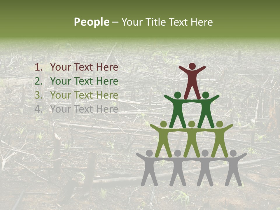 Corn Amazon Farm PowerPoint Template
