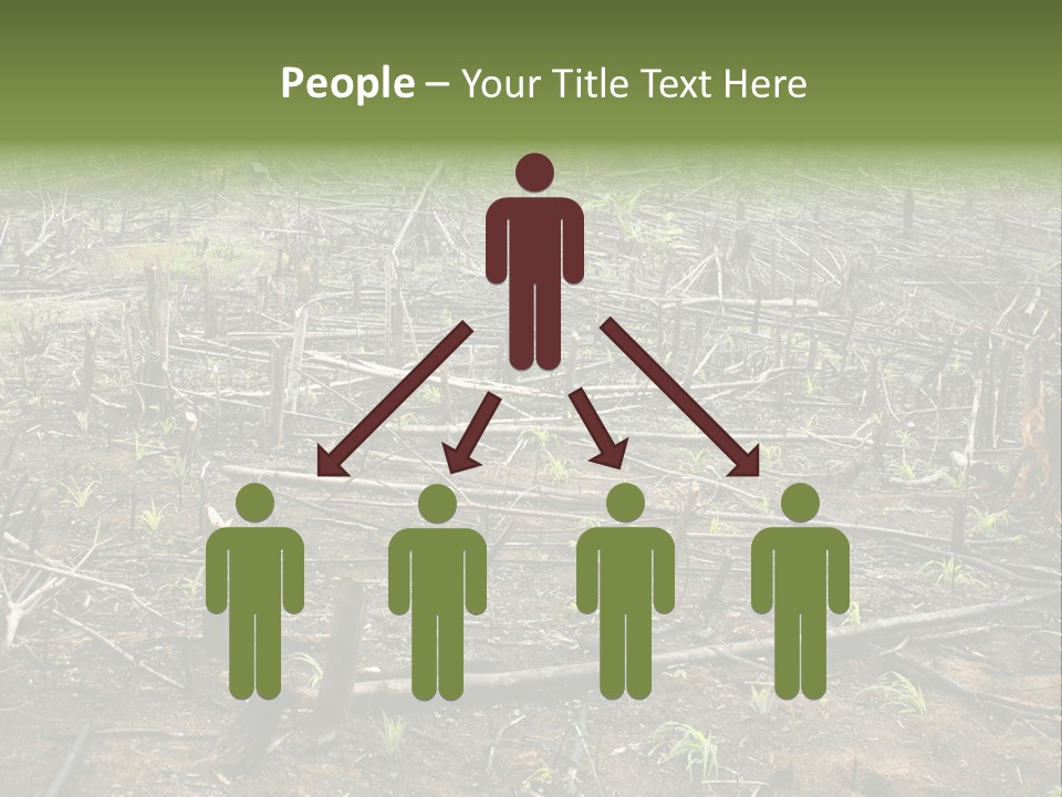 Corn Amazon Farm PowerPoint Template