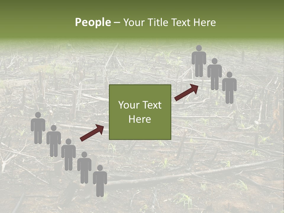 Corn Amazon Farm PowerPoint Template