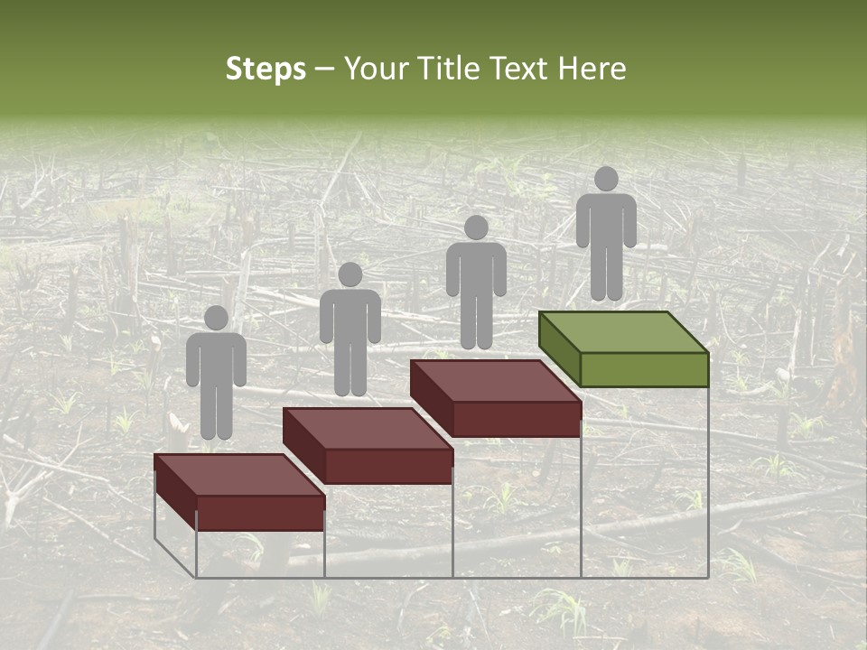 Corn Amazon Farm PowerPoint Template