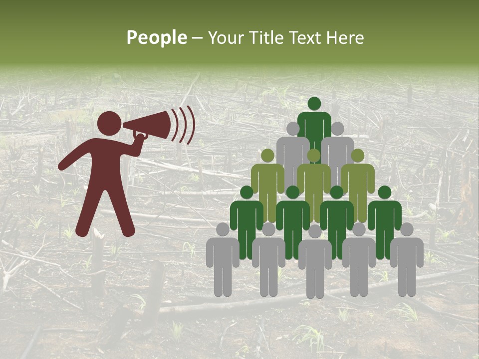 Corn Amazon Farm PowerPoint Template