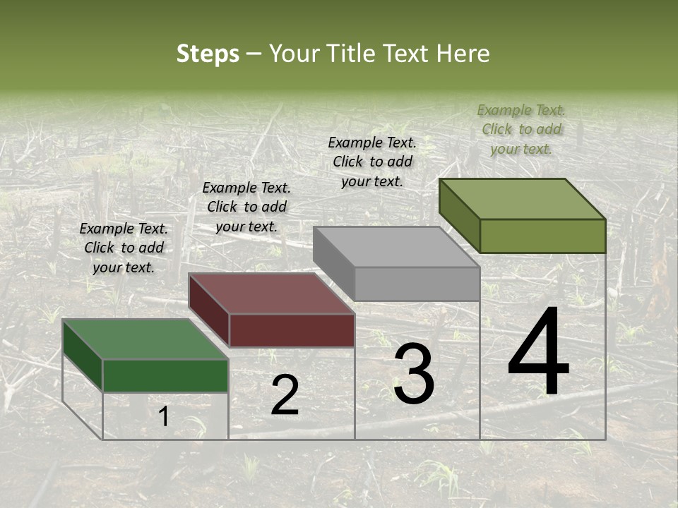 Corn Amazon Farm PowerPoint Template