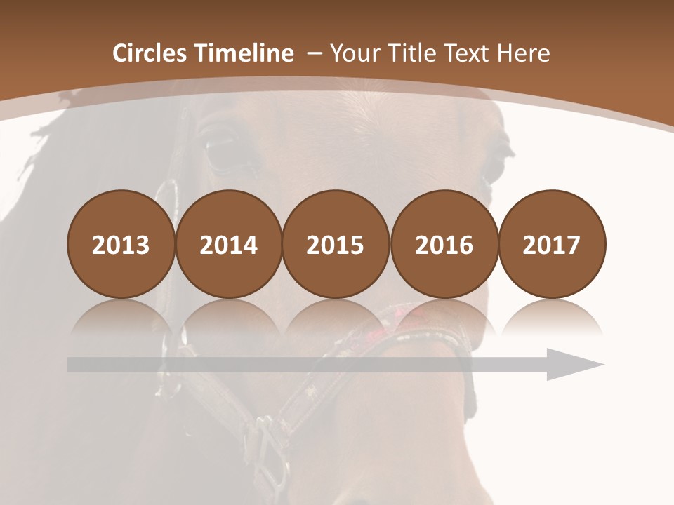 Model Girl Thin PowerPoint Template