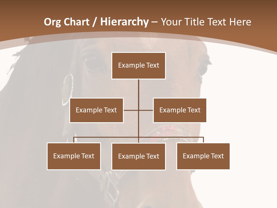 Model Girl Thin PowerPoint Template