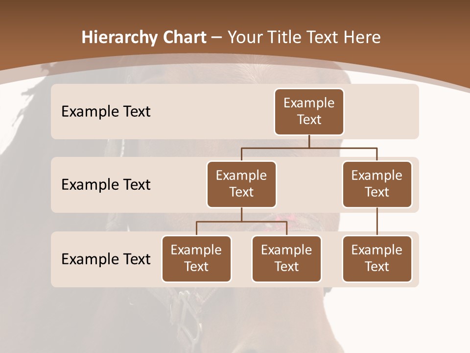 Model Girl Thin PowerPoint Template