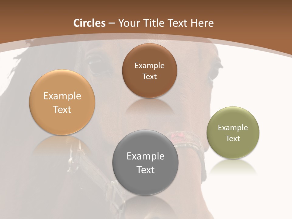 Model Girl Thin PowerPoint Template