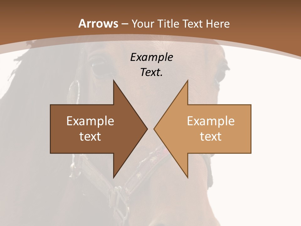 Model Girl Thin PowerPoint Template