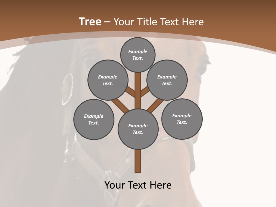 Model Girl Thin PowerPoint Template