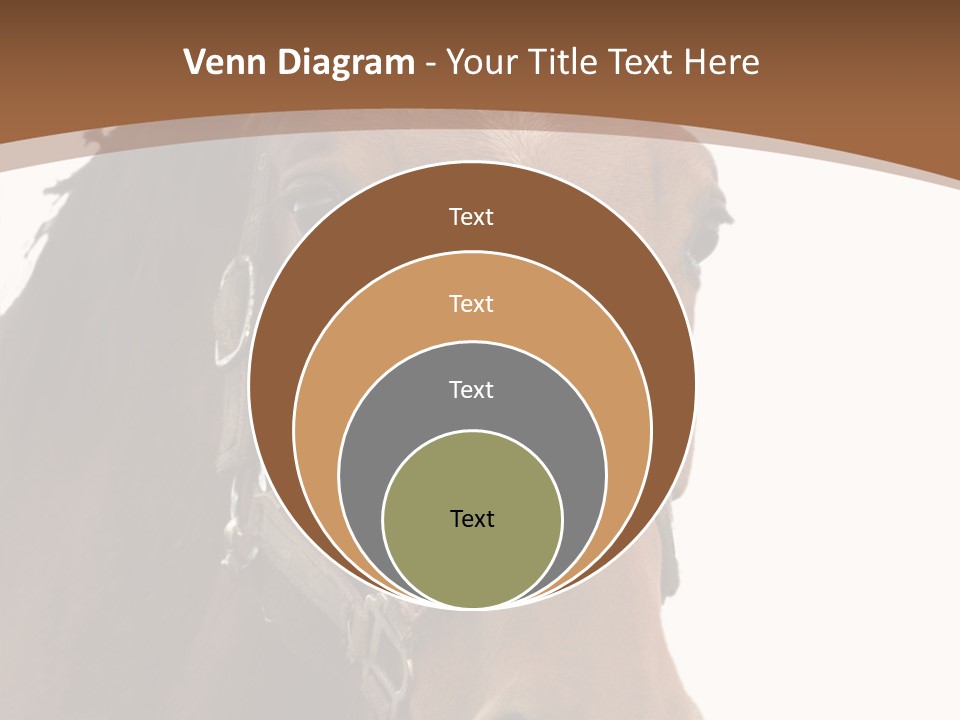 Model Girl Thin PowerPoint Template