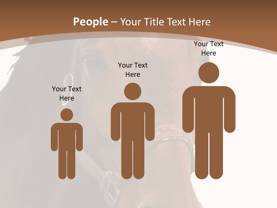 Model Girl Thin PowerPoint Template