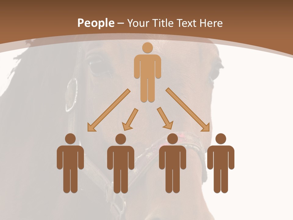 Model Girl Thin PowerPoint Template