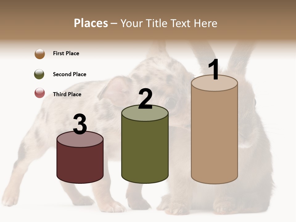 Body Model Lady PowerPoint Template