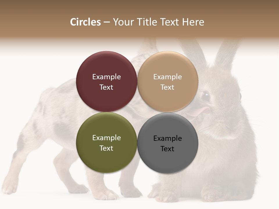 Body Model Lady PowerPoint Template