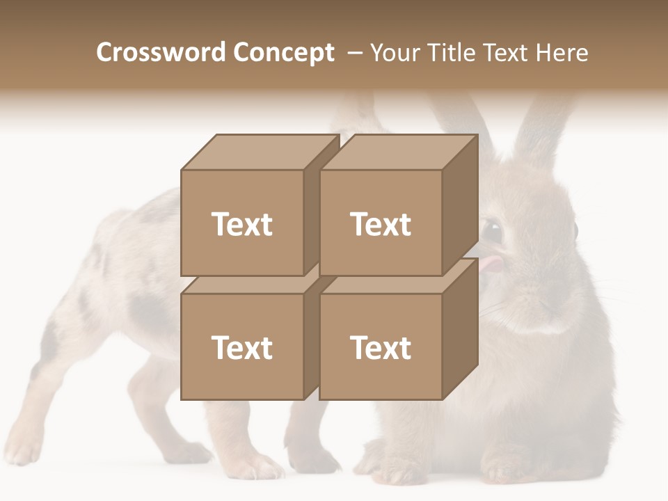 Body Model Lady PowerPoint Template