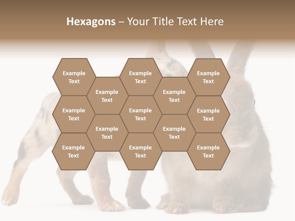 Body Model Lady PowerPoint Template