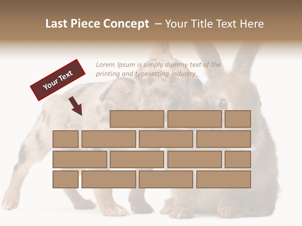 Body Model Lady PowerPoint Template