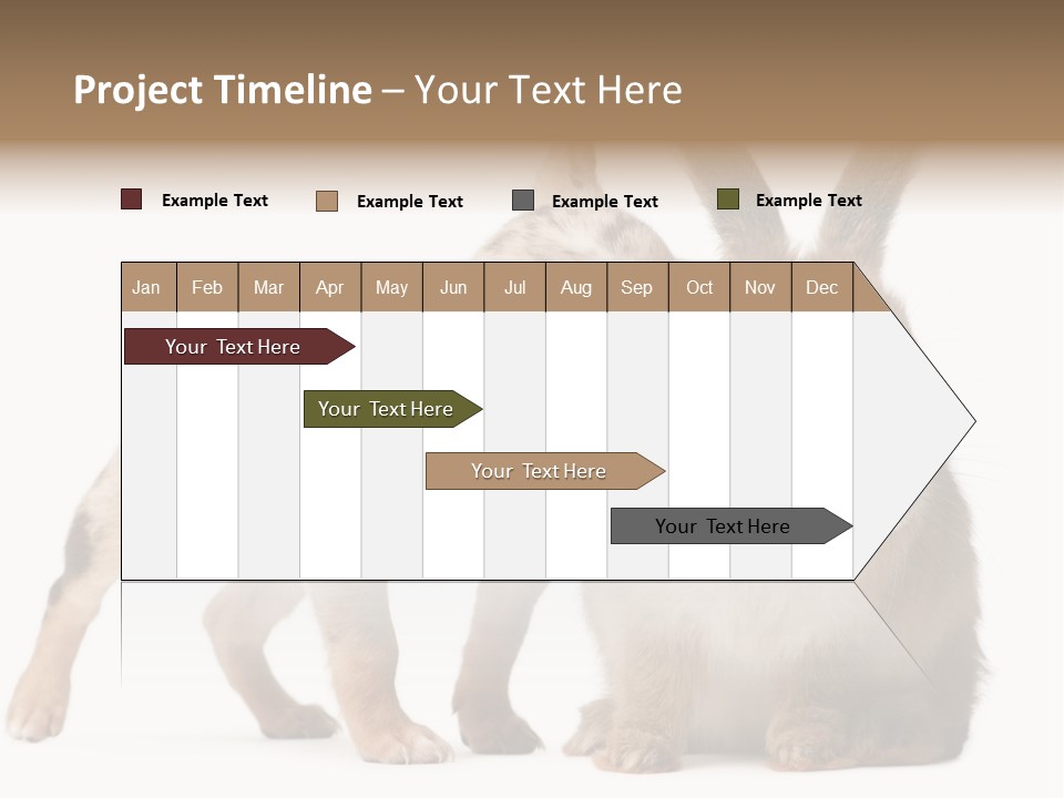 Body Model Lady PowerPoint Template