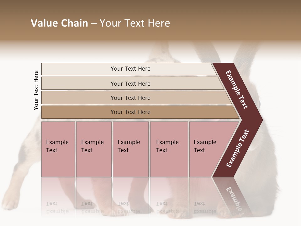 Body Model Lady PowerPoint Template