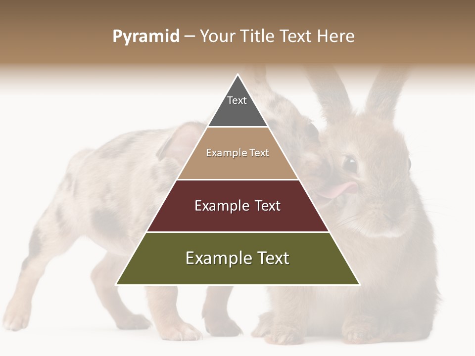 Body Model Lady PowerPoint Template