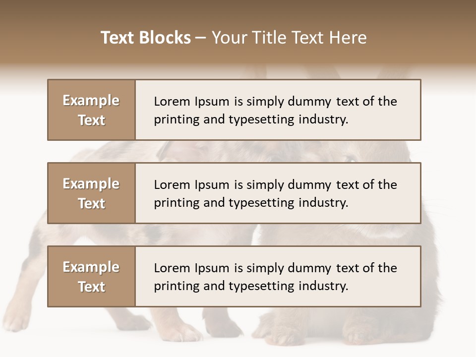 Body Model Lady PowerPoint Template