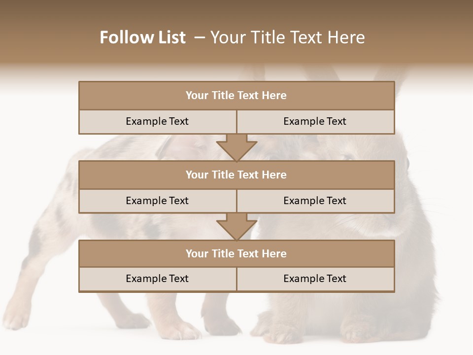 Body Model Lady PowerPoint Template