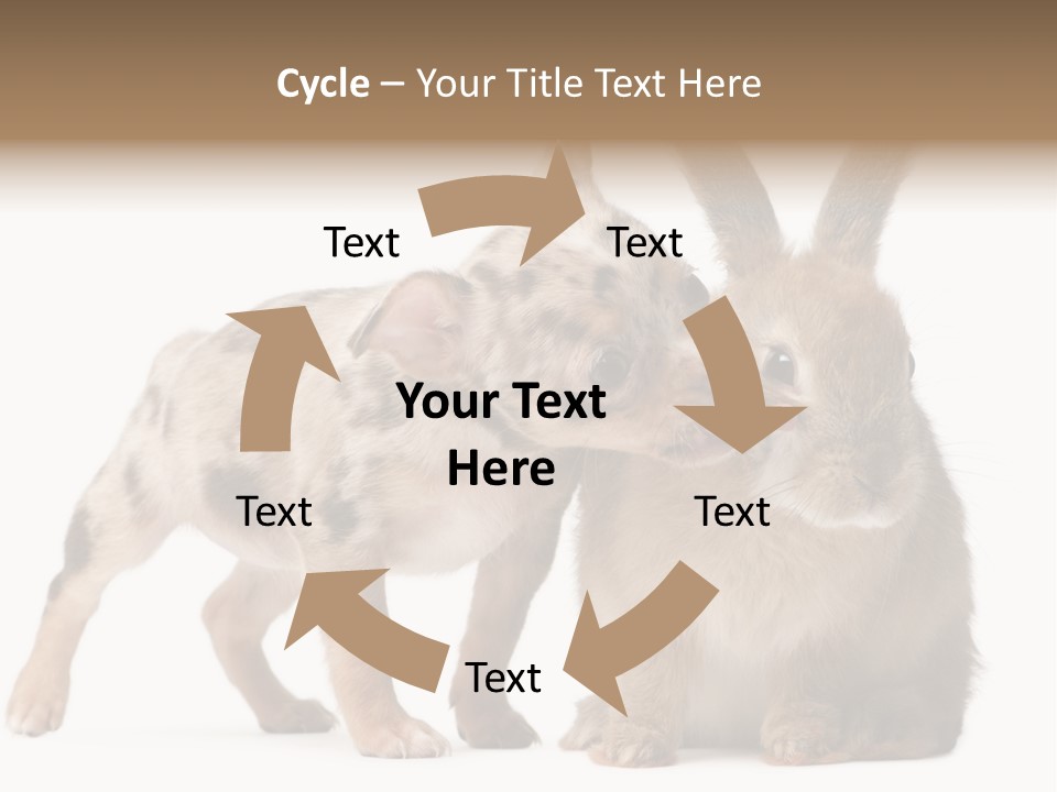 Body Model Lady PowerPoint Template