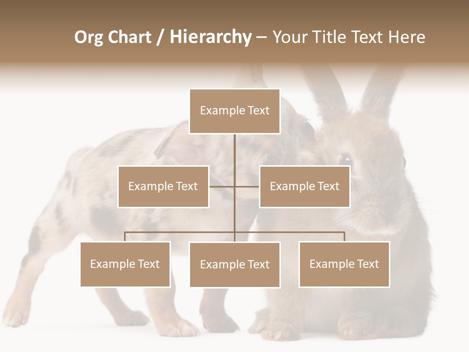 Body Model Lady PowerPoint Template