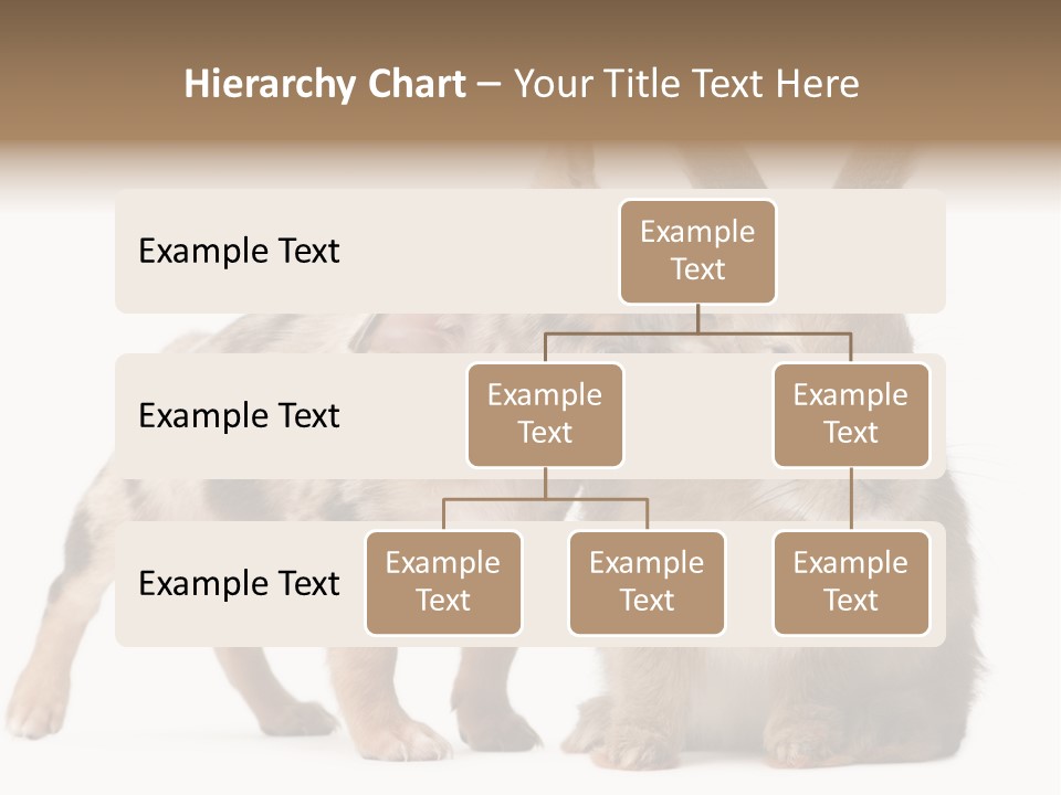 Body Model Lady PowerPoint Template
