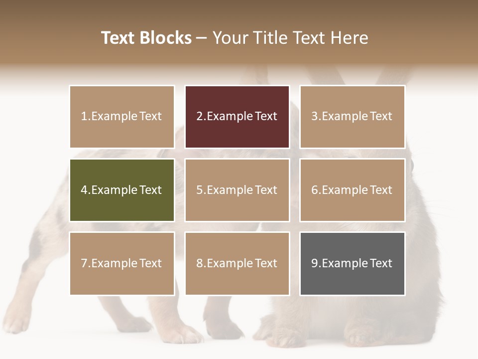 Body Model Lady PowerPoint Template