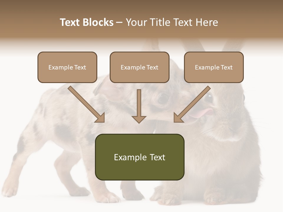 Body Model Lady PowerPoint Template