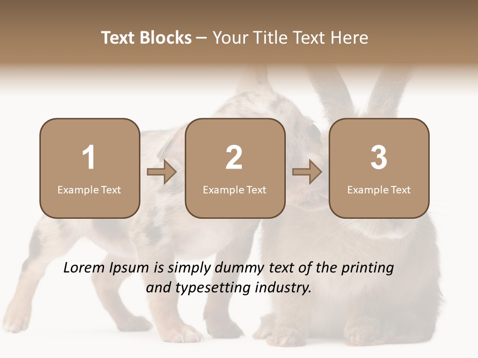 Body Model Lady PowerPoint Template