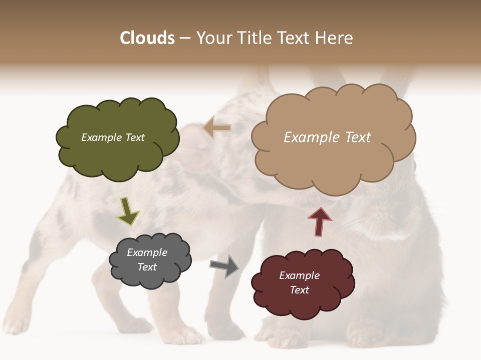 Body Model Lady PowerPoint Template