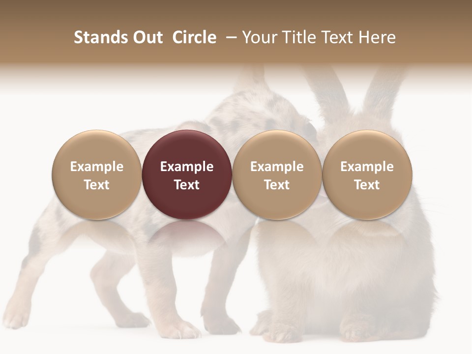 Body Model Lady PowerPoint Template