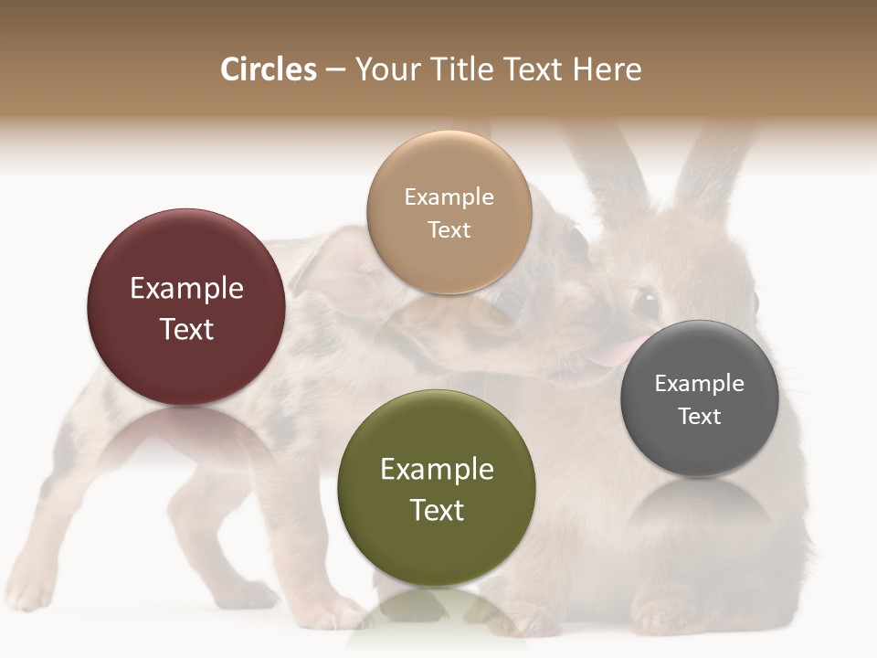 Body Model Lady PowerPoint Template