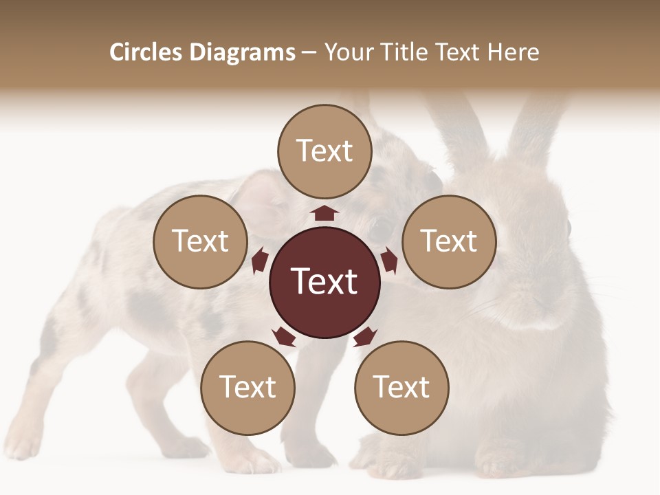 Body Model Lady PowerPoint Template