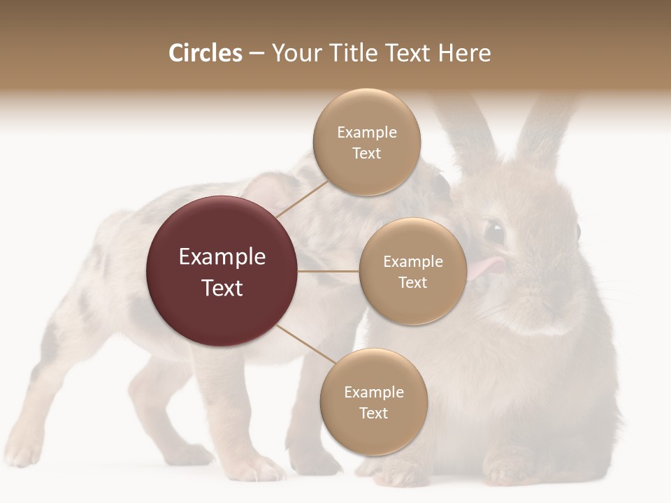 Body Model Lady PowerPoint Template