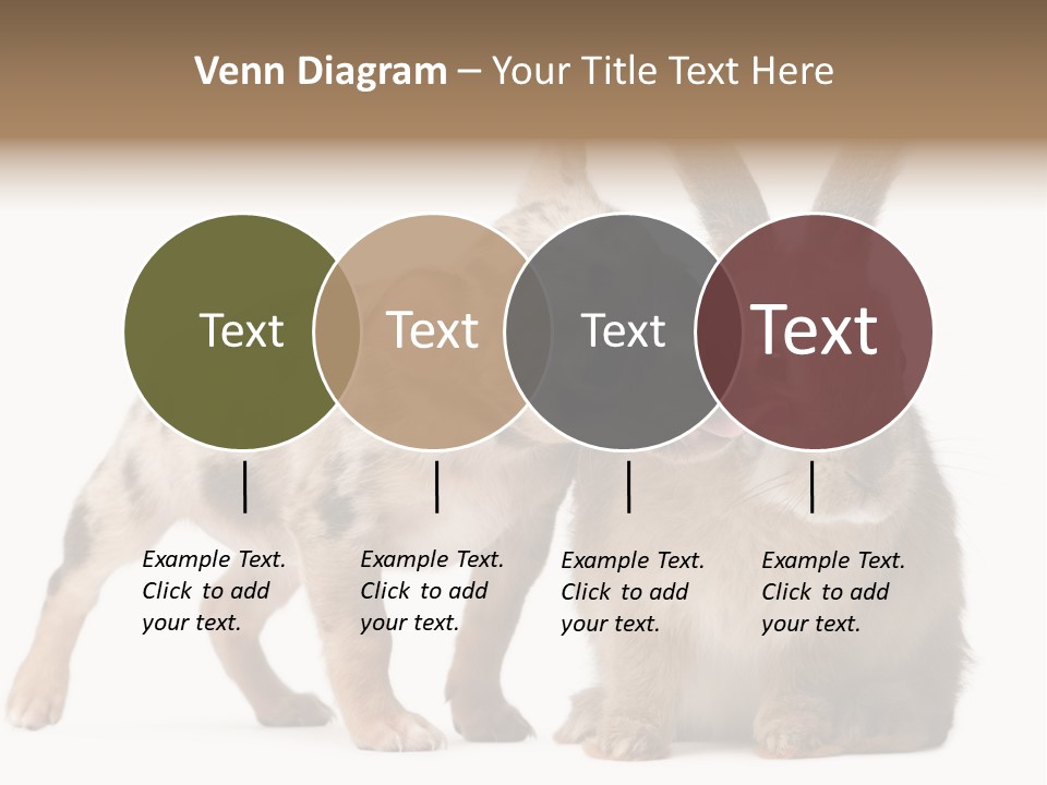 Body Model Lady PowerPoint Template