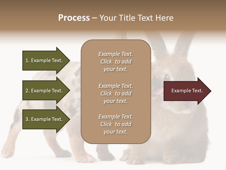 Body Model Lady PowerPoint Template