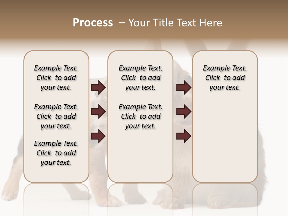 Body Model Lady PowerPoint Template