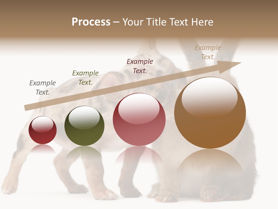 Body Model Lady PowerPoint Template