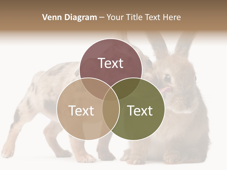 Body Model Lady PowerPoint Template