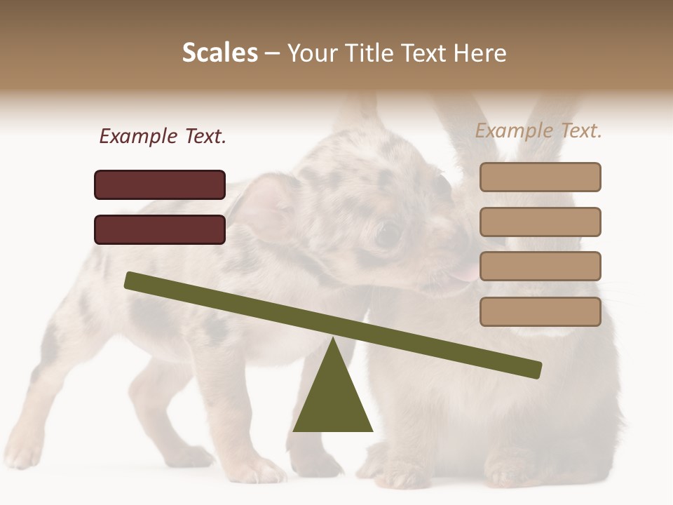 Body Model Lady PowerPoint Template