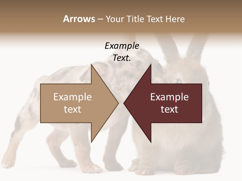 Body Model Lady PowerPoint Template