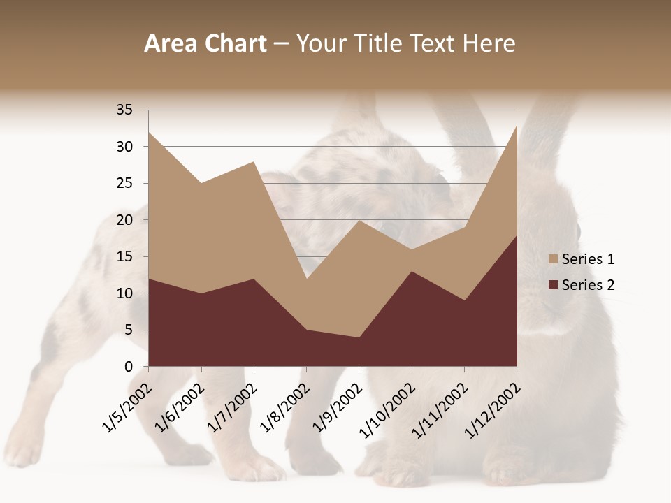 Body Model Lady PowerPoint Template