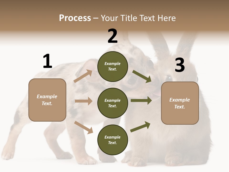 Body Model Lady PowerPoint Template